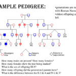 PPT Pedigree Analysis PowerPoint Presentation ID 2271913