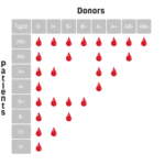 Why Do People Have Different Blood Types House Call Doctor